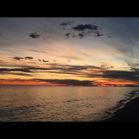 Meet your Posher, Sam - Picture 3 of 3